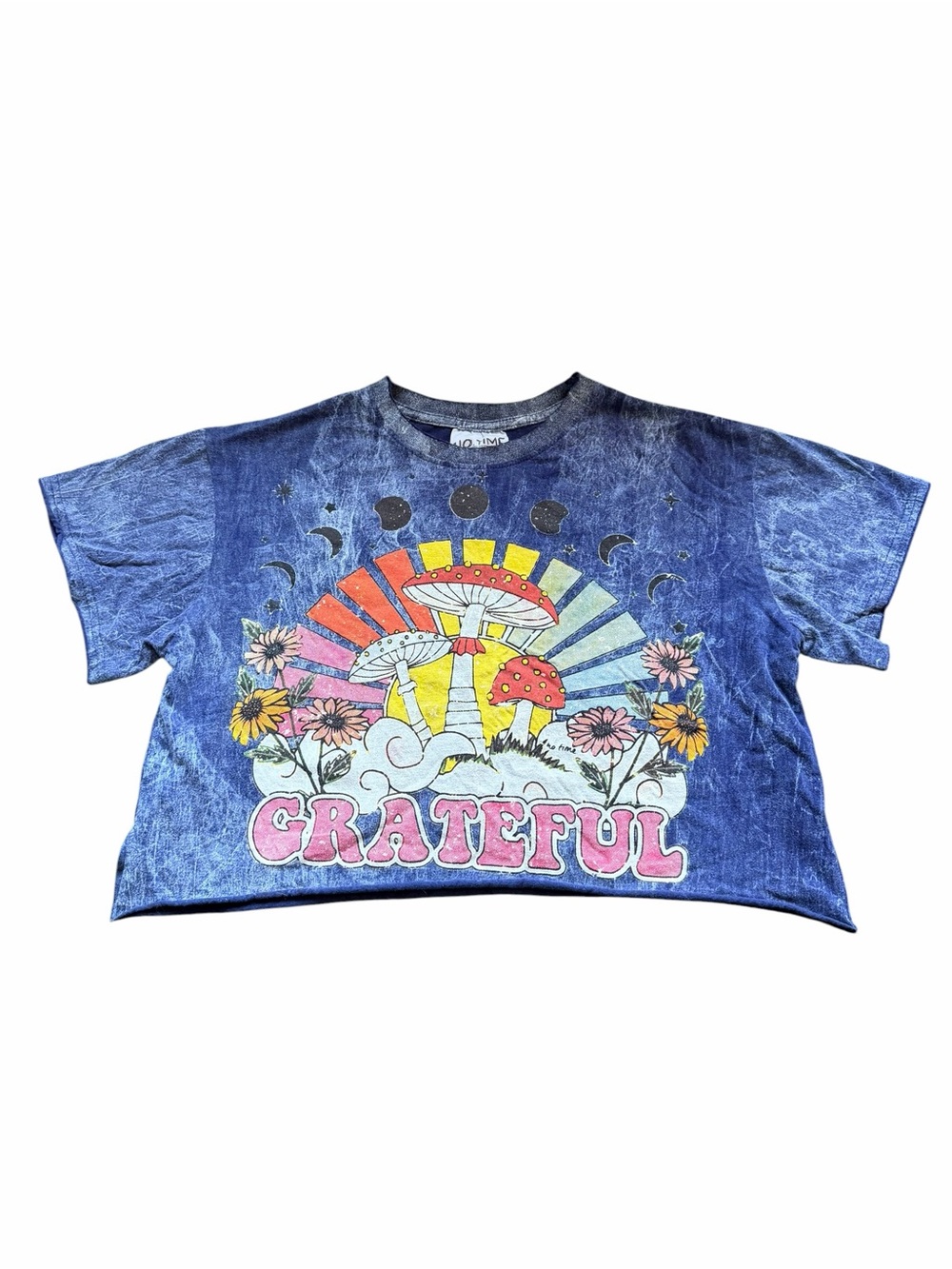 🌟No Time Grateful Graphic Crop Tee - Blue Tie-Dye Mushroom 🍄 Eclectic Print